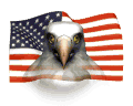 eagle_flag_wave_md_wht