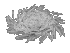 hurricane_sm_clr
